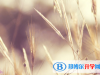 達(dá)州2022年中考成績(jī)?cè)趺床樵? /><b>達(dá)州2022年中考成績(jī)?cè)趺床樵?/b><span>2021-12-13 10:15</span><p>中考也是一生中最重要的一次考試，比如一個(gè)學(xué)生15歲畢業(yè)，它能夠決定你進(jìn)入普高還是職高。這是一個(gè)很現(xiàn)實(shí)的問(wèn)題從，另一個(gè)角度看</p></a></h3></li>
<li><h3><a href=