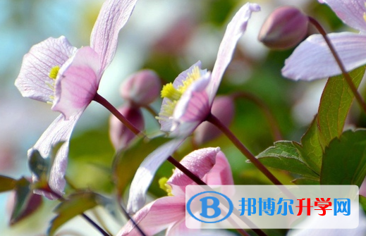 達州2022年中考多久出成績