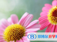 達(dá)州2022年中考體育成績(jī)對(duì)照表