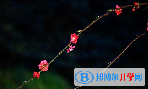 達(dá)州2022年中考網(wǎng)絡(luò)應(yīng)用服務(wù)平臺成績查詢