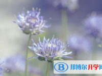 達(dá)州2022年中考怎樣考出好成績(jī)