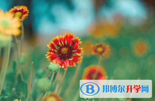 達州2022年參加中考的有多少人