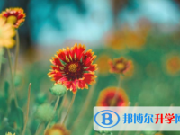 達(dá)州2022年參加中考的有多少人