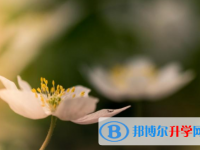 達州2022年各個學(xué)校中考錄取線