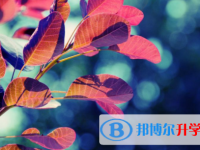 達(dá)州2022年教育網(wǎng)中考查詢(xún)
