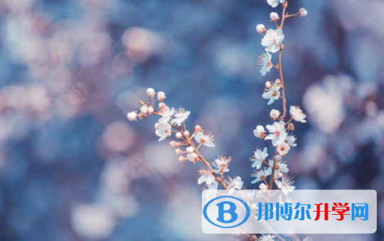 達州2022年近幾年中考重點線