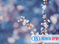 達(dá)州2022年近幾年中考重點(diǎn)線