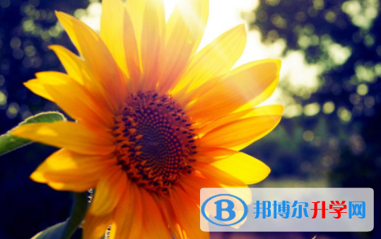 達州2022年考起重高的人數