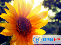 達(dá)州2022年考起重高的人數(shù)