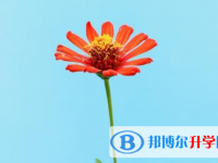 達(dá)州2022年中考報(bào)名號(hào)