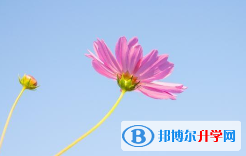 達州2022年中考報名平臺