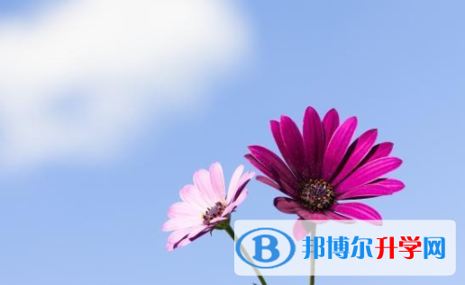 達州2022年中考報名網