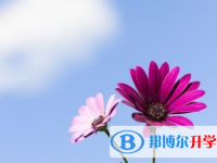 達州2022年中考報名網