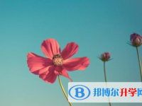 達州2022年中考報名網站