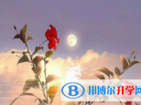 達州2022年中考必考題
