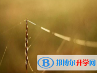 達(dá)州2022年中考查詢(xún)