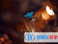 達(dá)州2022年中考查詢(xún)網(wǎng)