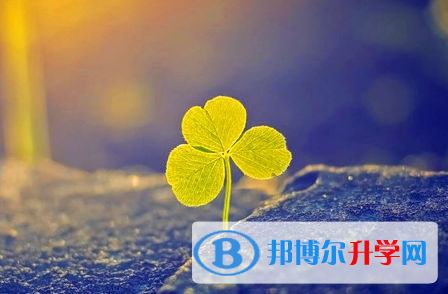 達州2022年中考查詢系統(tǒng)的密碼記不到了怎么辦
