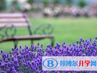 達州2022年中考成績今年怎么這么高