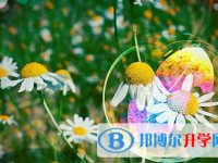 達州2022年中考成績什么時候公布