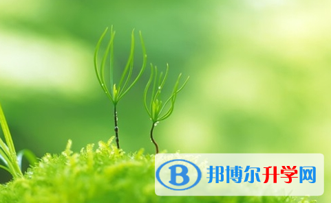 達州2022年中考成績重點線