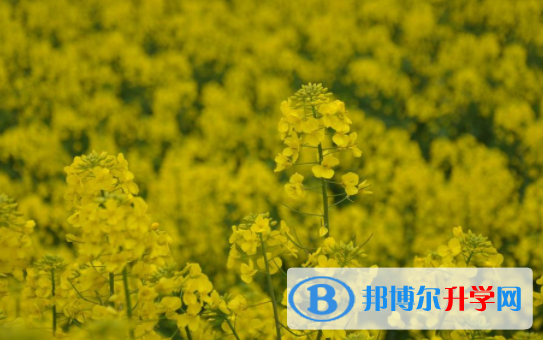 達州2022年中考改革