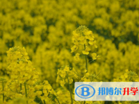 達州2022年中考改革
