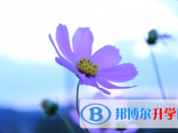 達州2022年中考難度
