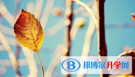 達州2022年中考難還是不難