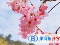 達州2022年中考人數
