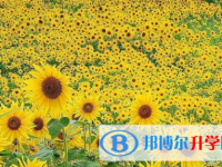 達州2022年中考如何