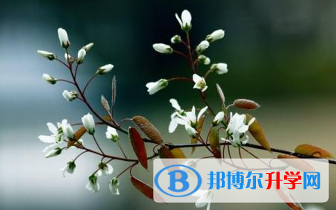 達(dá)州2022年中考上的學(xué)校