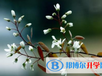 達州2022年中考上的學校