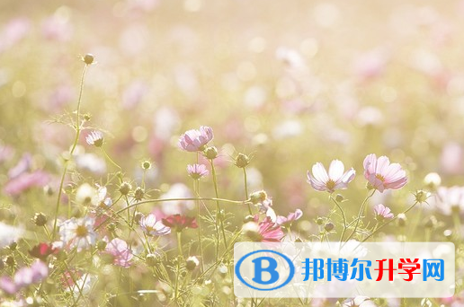達州2022年中考試卷難嗎