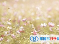 達州2022年中考試卷難嗎