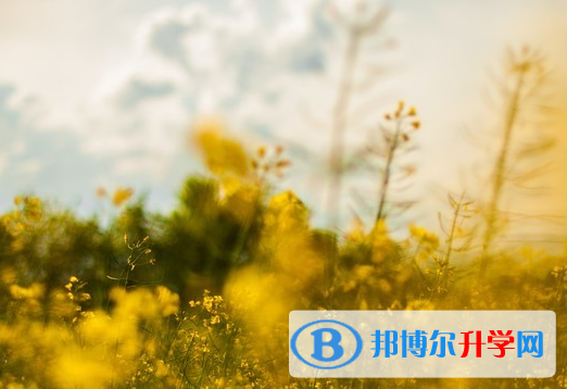 達州2022年中考特長生招生簡章