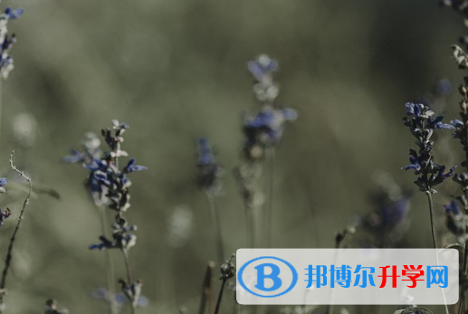 達州2022年中考填志愿統招和調劑