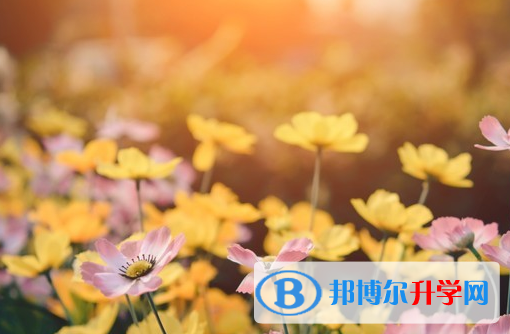 達州2022年中考統考成績