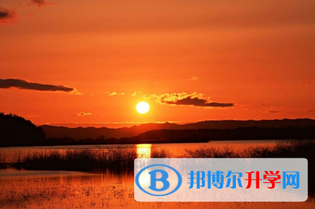 達州2022年中考網絡應用平臺