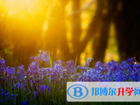 達州2022年中考網上報名