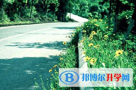 達州2022年中考信息服務平臺