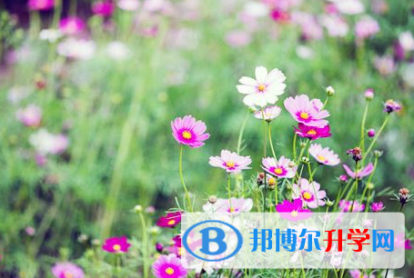 達州2022年中考預估重點線