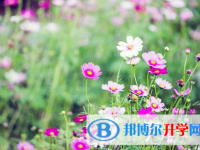 達州2022年中考預(yù)估重點線