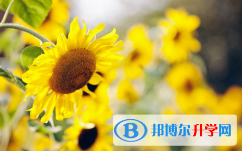 達州2022年中考招生計劃查詢