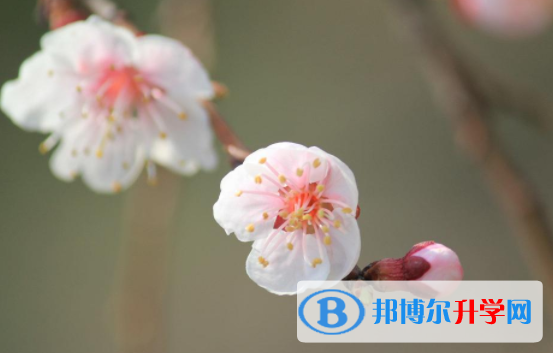 達州2022年中考重點線