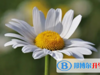 達州2022年中考重點復習