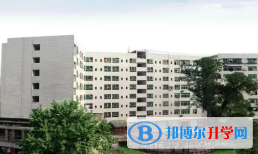 達(dá)州2022年中考453可以讀哪些學(xué)校
