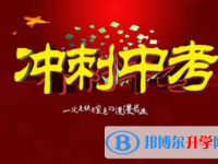 達州2022年怎么寫中考自薦書