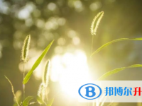 達州2022年孩子因病錯過中考怎么辦