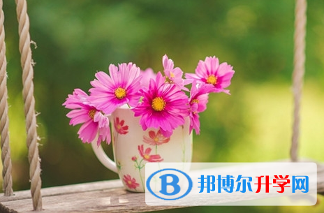 達州2022年中考調劑志愿是什么意思
